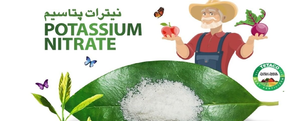 نیترات پتاسیم