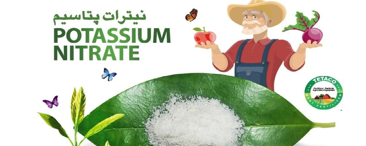 نیترات پتاسیم